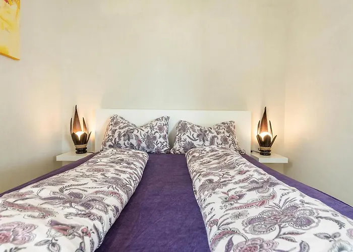 Vista * 바르돌리노